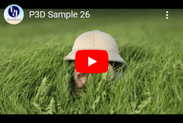 P3D Sample 26